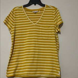 Toad&Co Yellow  Striped V-Neck Tee